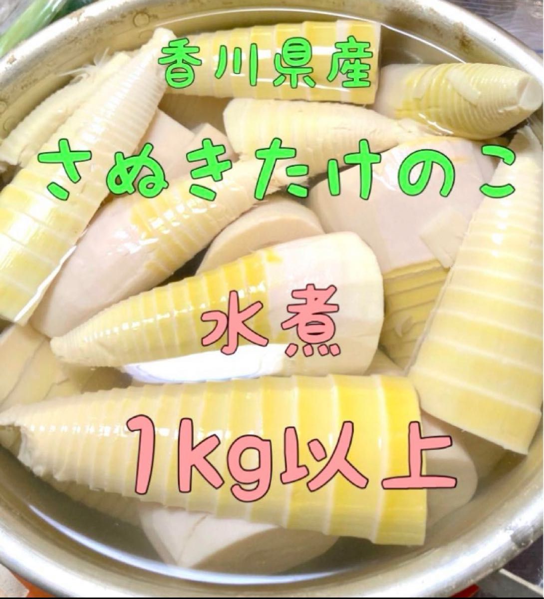 香川県 たけのこ 水煮 約1kg 筍 真空パック タケノコ 無農薬栽培 