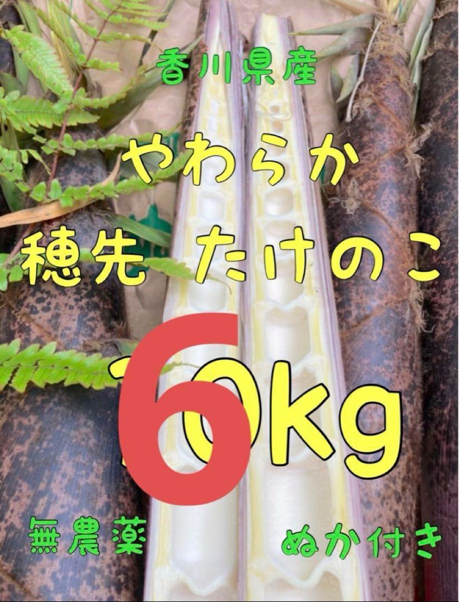 約6kg たけのこ ぬか付き 筍 タケノコ 無農薬 新鮮野菜 即発送 旬