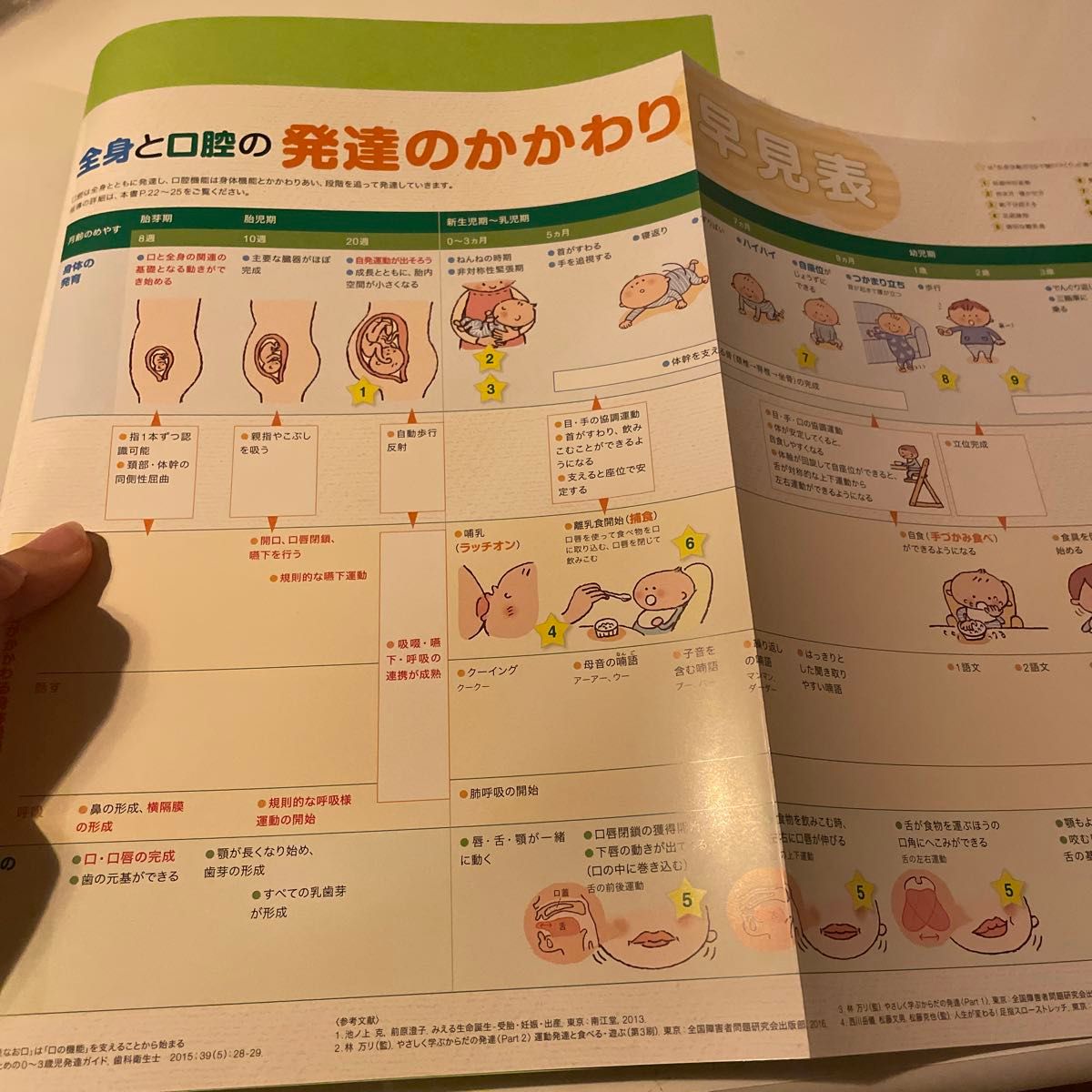 全身に目を向けて、変わる、広がる子どもの口腔機能を育む取り組み 