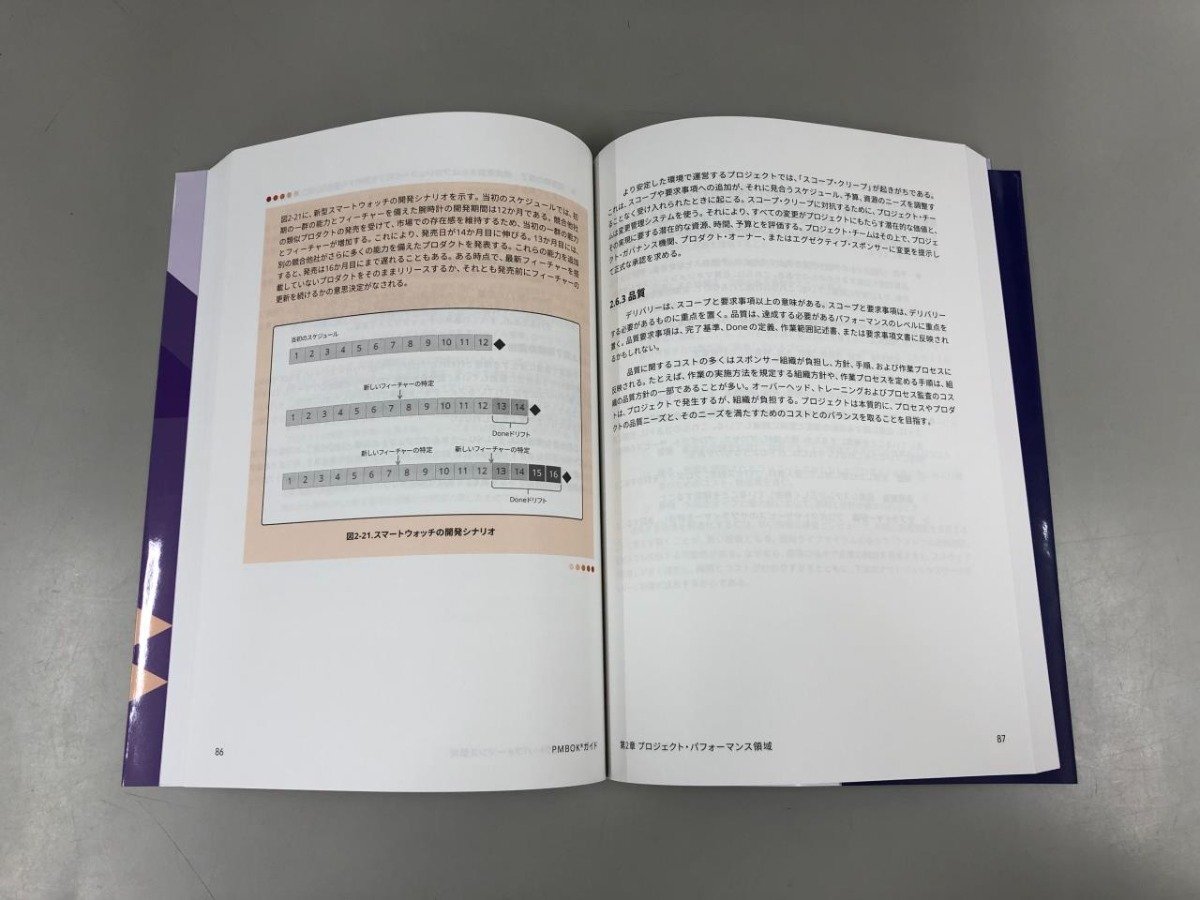 * [PMBOK гид Project management знания body серия гид no. 7 версия + PM стандарт PMI Япония главный часть . перевод 2021]159-02405