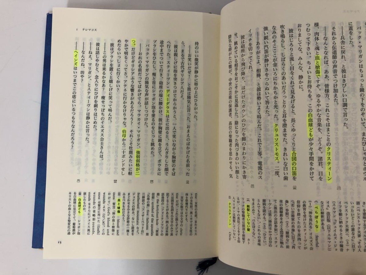 ▼　【全3巻 ユリシーズ ジェイムズ・ジョイス著 Ⅰ・Ⅱ・Ⅲ 集英社 1996年】073-02405_画像7