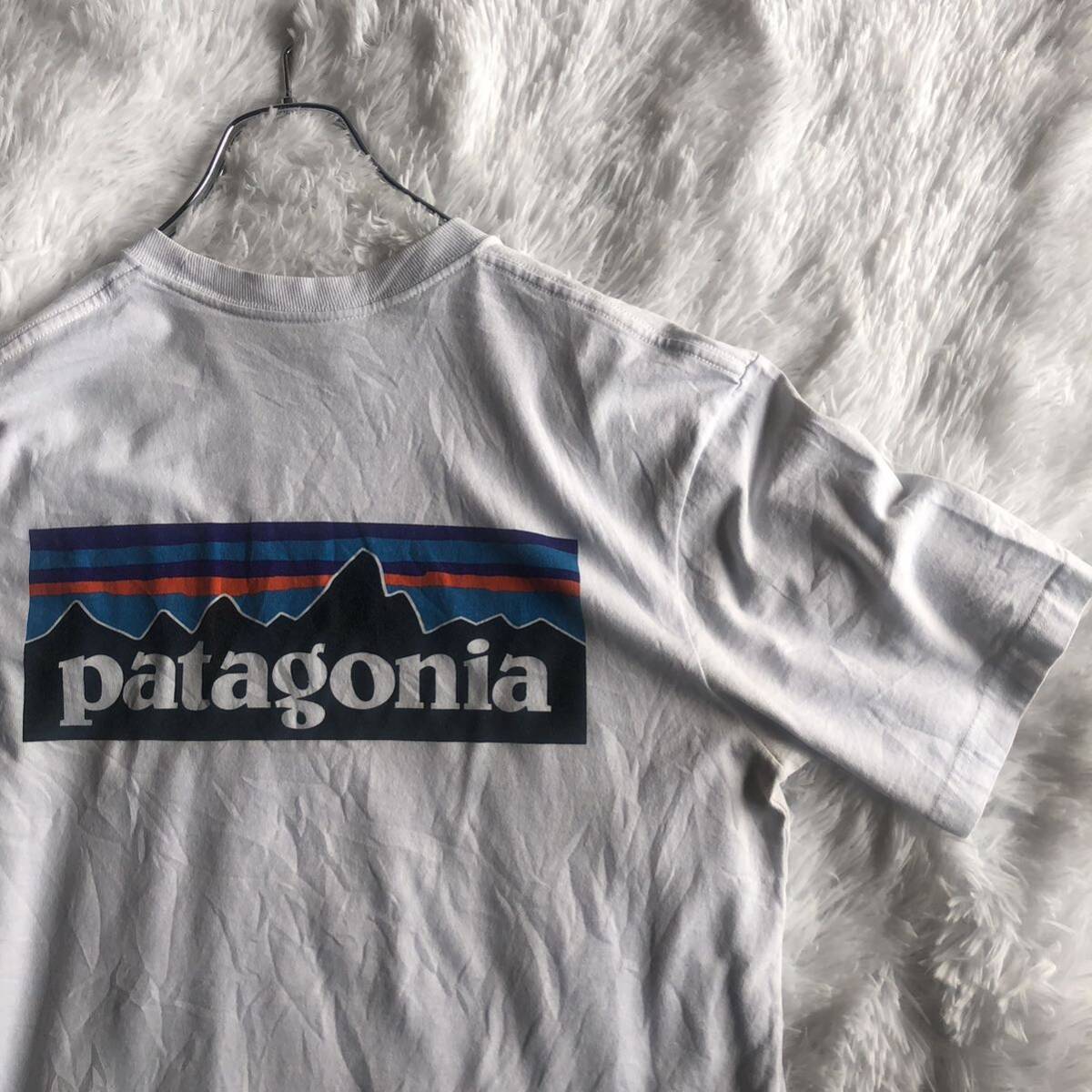 パタゴニア 白Tシャツ バックプリント フィッツロイ_画像3