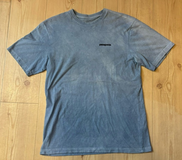 ★パタゴニア Patagonia ロゴTシャツ ブルー サイズS_画像1