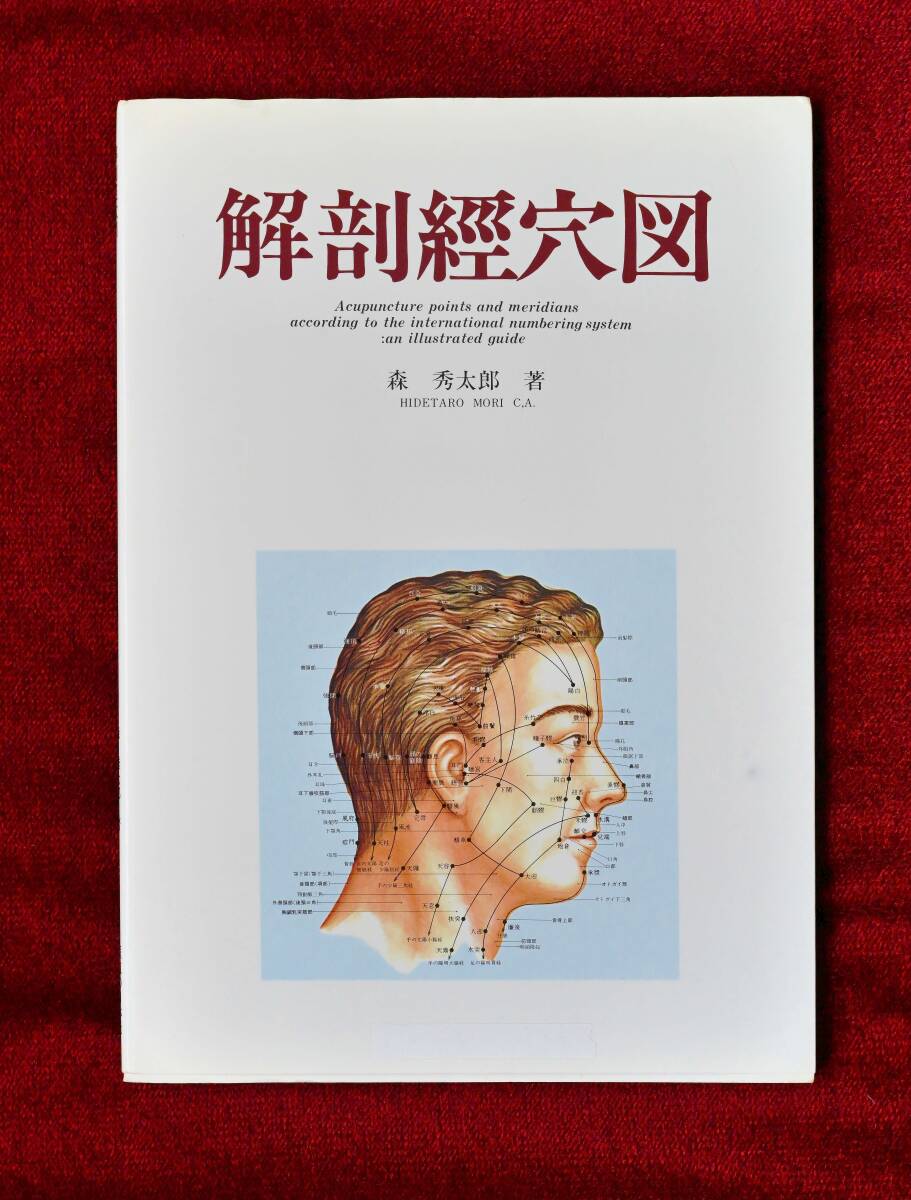 ★★★学生必見！「解剖経穴図 」森秀太郎著 医道の日本社 ／中古・学生使用有★★★_画像1