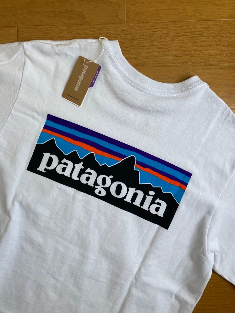 patagonia P-6  半袖 Tシャツ