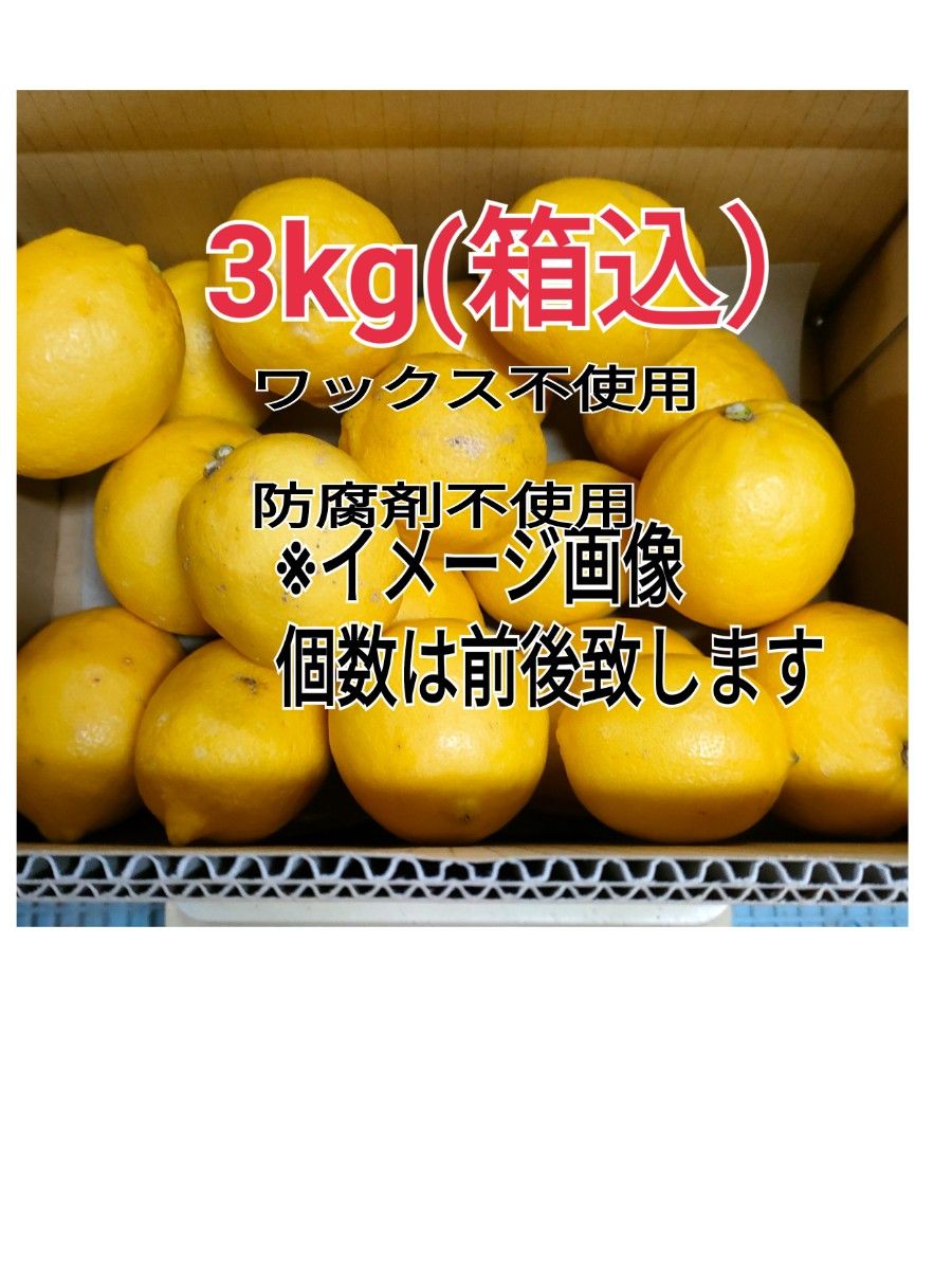 国産レモン！新鮮【4/中旬収穫】皮ごと使える国産ユーレカレモン3㎏(箱込)