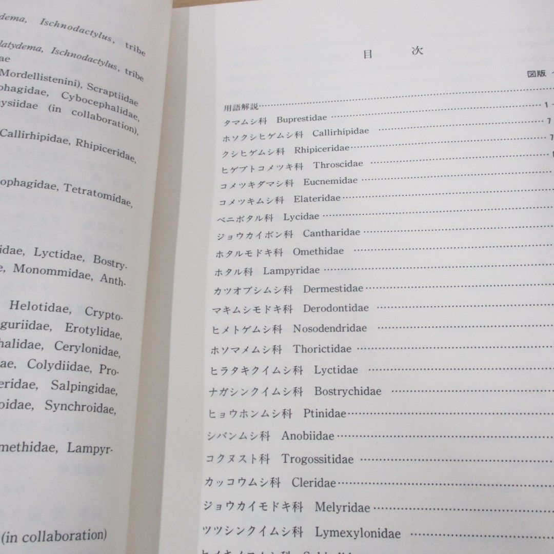 ▲01)【同梱不可】原色日本甲虫図鑑 3/保育社の原色図鑑 70/黒沢良彦/保育社/昭和60年/A_画像4