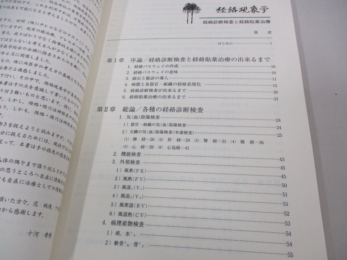 ●01)【同梱不可】経絡現象学/経絡診断検査と経絡貼薬治療/十河孝博/現代出版プランニング/2009年/A_画像3