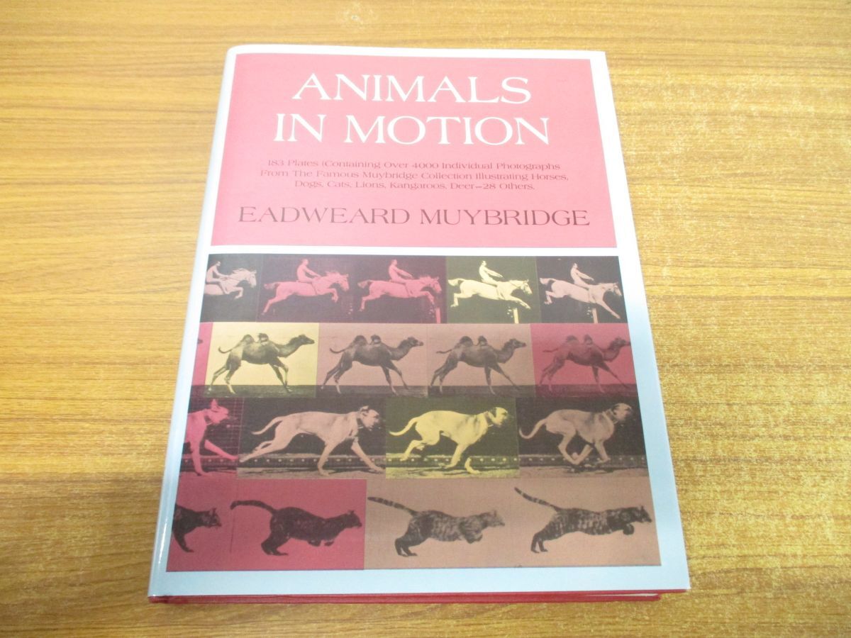 ▲01)【同梱不可】Animals in Motion/Dover Anatomy for Artists/Eadweard Muybridge/Dover Publications/1957年/洋書/動物/解剖学/Aの画像1