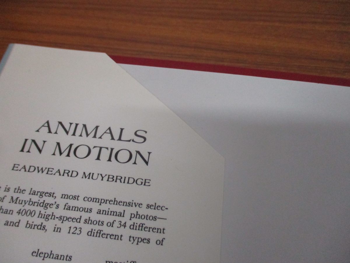 ▲01)【同梱不可】Animals in Motion/Dover Anatomy for Artists/Eadweard Muybridge/Dover Publications/1957年/洋書/動物/解剖学/Aの画像6