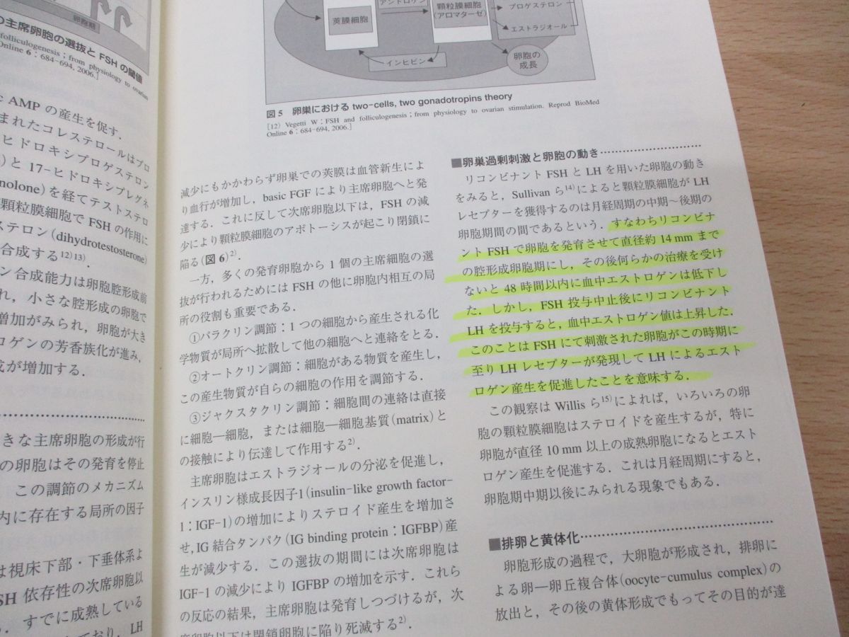 ■01)【同梱不可】医学関連本 まとめ売り約20冊セット/医療/治療/臨床/病気がみえる/婦人科/産科/乳腺外科/診療/治療/子宮頸がん/卵巣/A_画像7