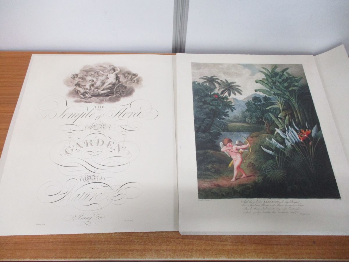 □01)【同梱不可】The Temple of Flora/Robert John Thornton/Taschen America Llc/2008年 /洋書/フローラの神殿/完全なプレート/完全版/A - 生物学 □01)【同梱不可】The Temple of Flora/Robert John Thornton/Taschen America Llc/2008年 /洋書/フローラの神殿/完全なプレート/完全版/A - 生物学