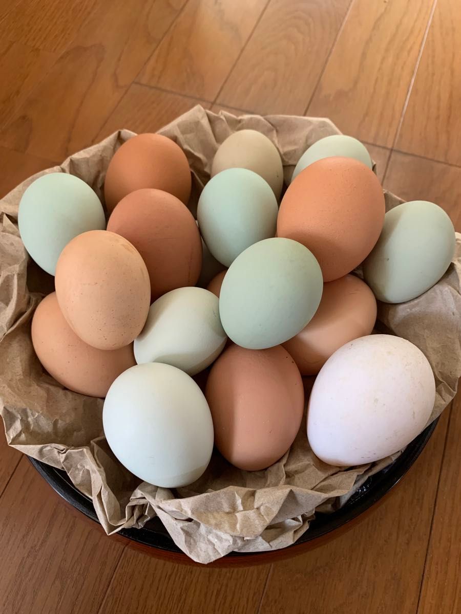平飼い卵（有精卵） 20個