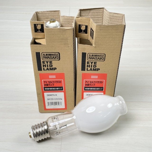 (2 piece set )BHF200/220V300W I self ballast water silver lamp E39 clasp * instructions shortage rock cape [ unused breaking the seal goods ] #K0045078