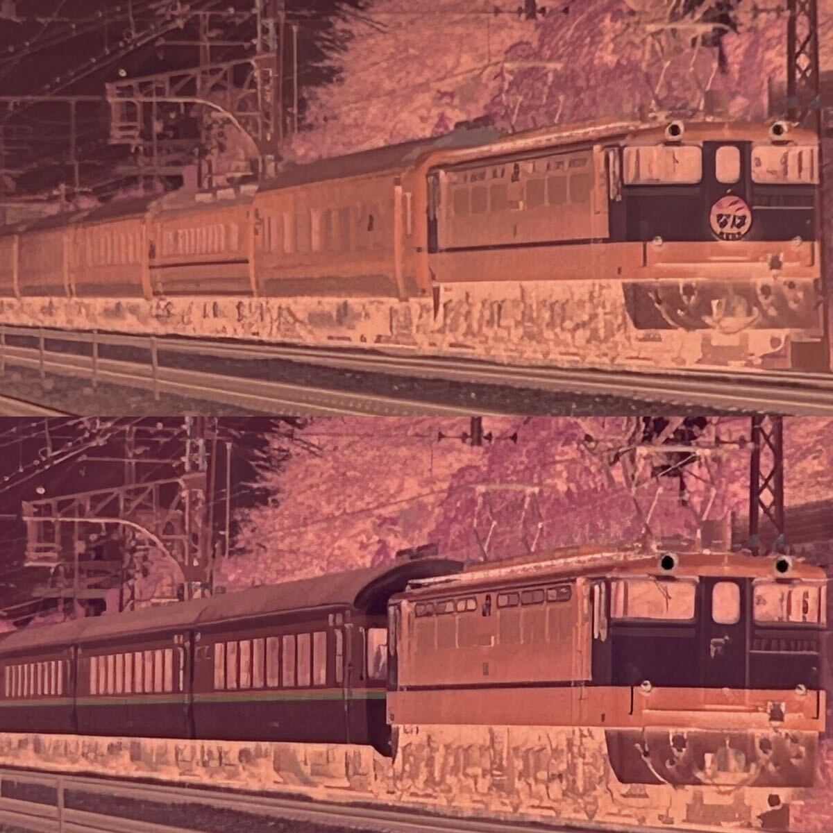  old railroad photograph nega film EF65123 EF651052 EF6654 EF6621 EF58150 EF651131 tree see station EF6530 EF651129 EF651046sei shell train (050704