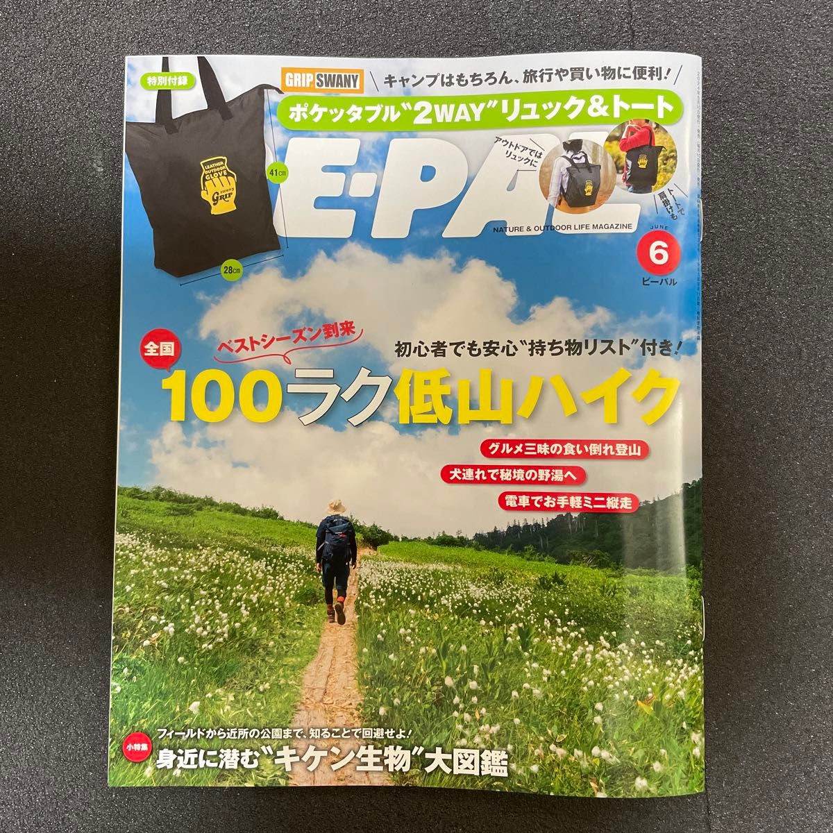 BE-PAL ビーパル　6月　雑誌のみ