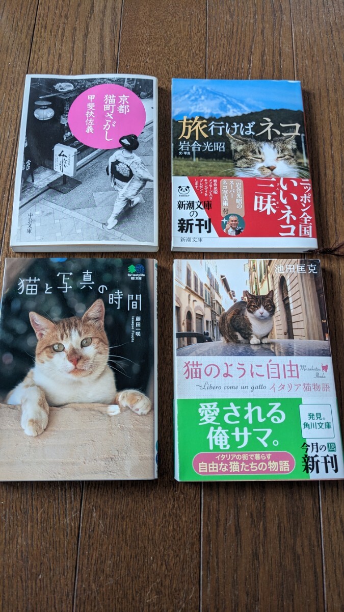  Kyoto кошка блок ..., путешествие .. кошка, кошка . на фото час, кошка такой как свободный 