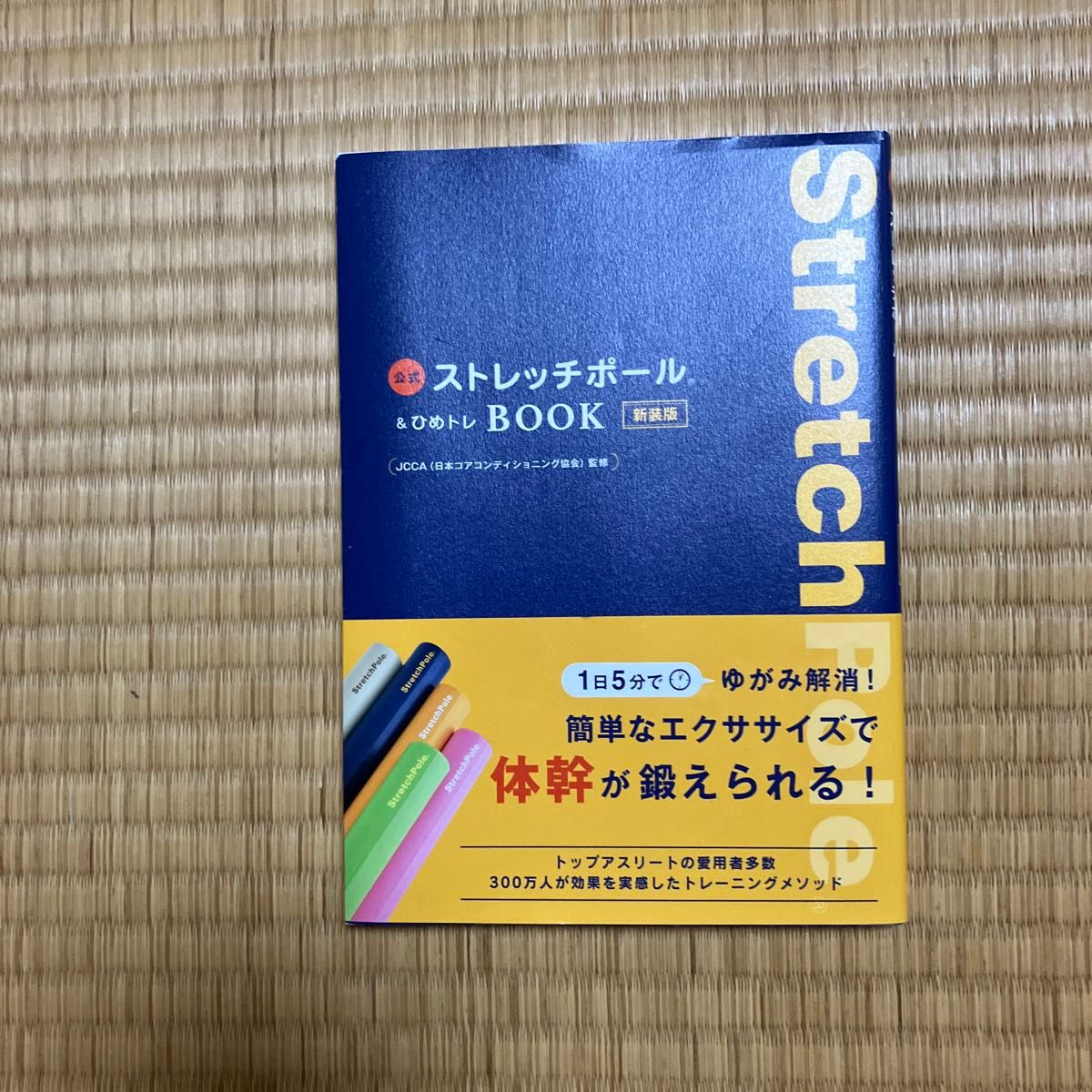 ストレッチポールEX(ネイビー)株式会社LPN