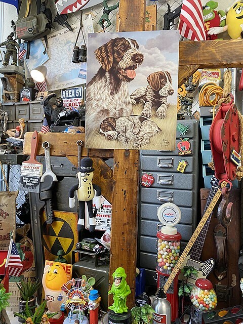 ハンティング犬　ブリキ看板　（ワイルドシング）　■　アメリカン雑貨　アメリカ雑貨_画像4
