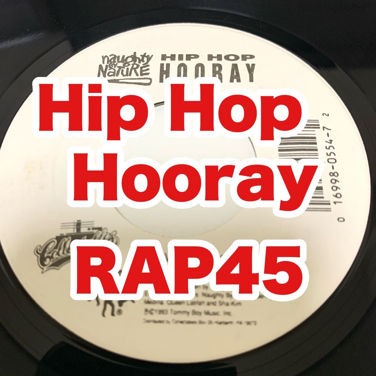 Naughty By Nature / Hip Hop Hooray RAP45 ミドル 90s 7インチ レコード