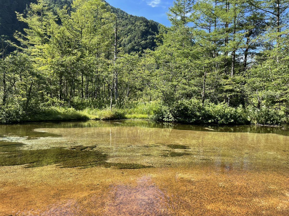 【即決】自然、風景画像の写真 当方撮影写真 相互評価 24時間以内に対応 1円の画像1