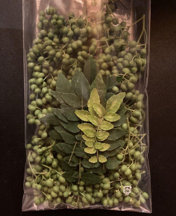 京都府産 山椒の実 無農薬70g|Yahoo!フリマ(旧PayPayフリマ) 京都府産 山椒の実 無農薬70g|Yahoo!フリマ(旧PayPayフリマ)