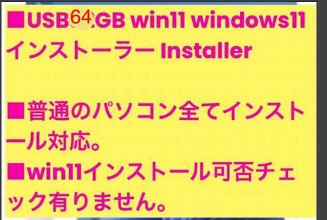  труба 666 USB64GB win11 windows11 инсталлятор Install Windows Microsoft pro home Buffalo USB память 64GB USB3.2(Gen1)/3.1(Gen 1)