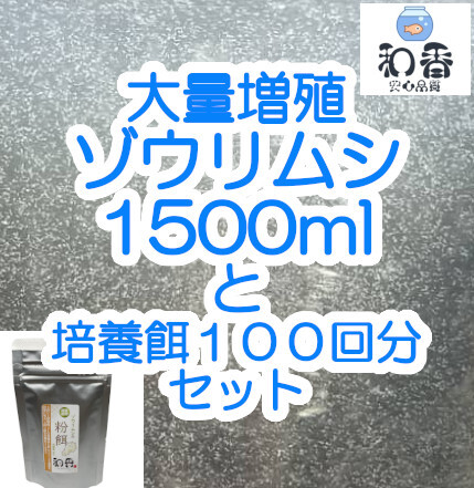 ゾウリムシ 種水1500ml+培養餌100回分のセット★大増殖・100回分餌付★ めだかグッピーベタシュリンプ金魚の稚魚 ミジンコ 生餌クロレラ_★沢山湧いています★