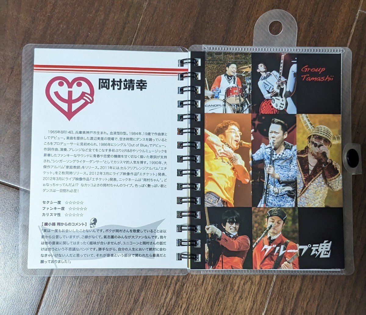 氣志團万博　公式手引書　2012 氣志團 DJOZMA グループ魂 仙台貨物 小泉今日子 湘南乃風 ももクロ 岡村靖幸 ゴールデンボンバー ユニコーン_画像5