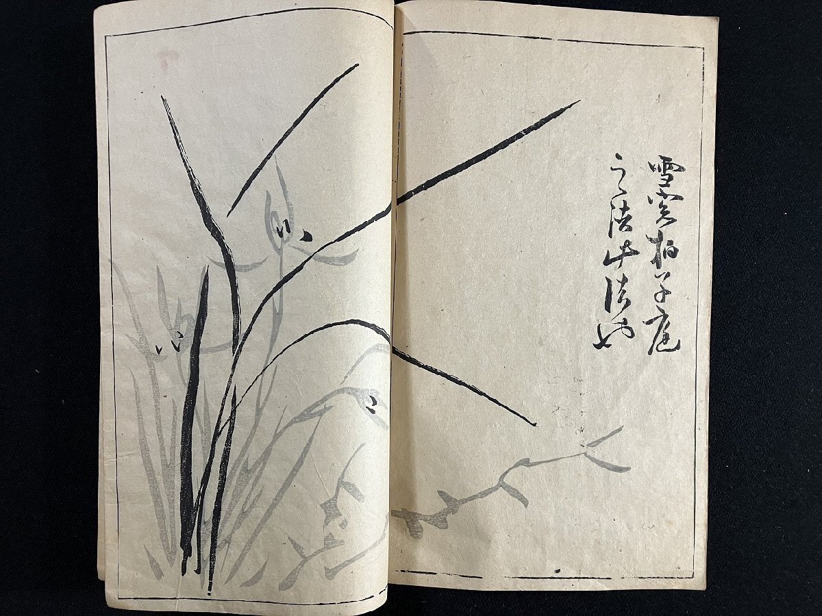 ｇ∞　明治期　華山翁蘭竹画譜 乾・坤 2冊揃　明治13年　編・貫輪吉五郎　/E02_画像5