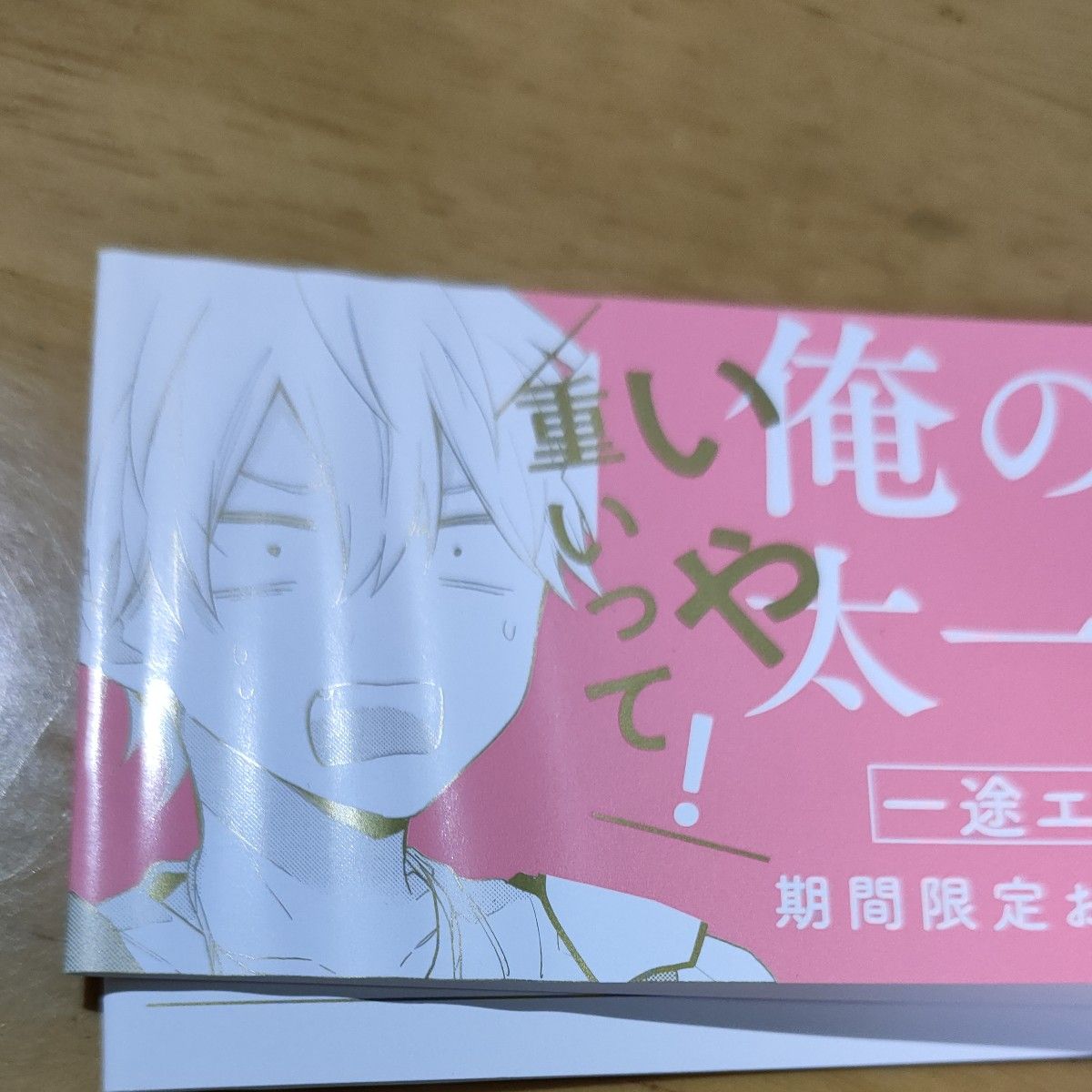 黒田くろた　この度幼なじみと仮婚します　コミコミオリジナル特典　有償描き下ろし小冊子、コミコミリーフレット付き