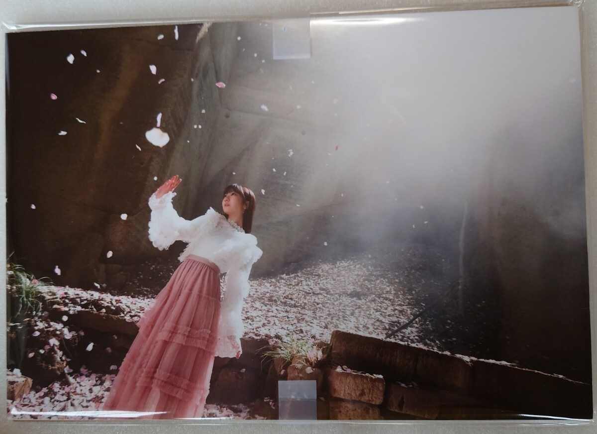 柏木由紀 展示品パネル AKB48 63rdシングル「カラコンウインク」写真 ヤフオク専用 転載厳禁_画像1