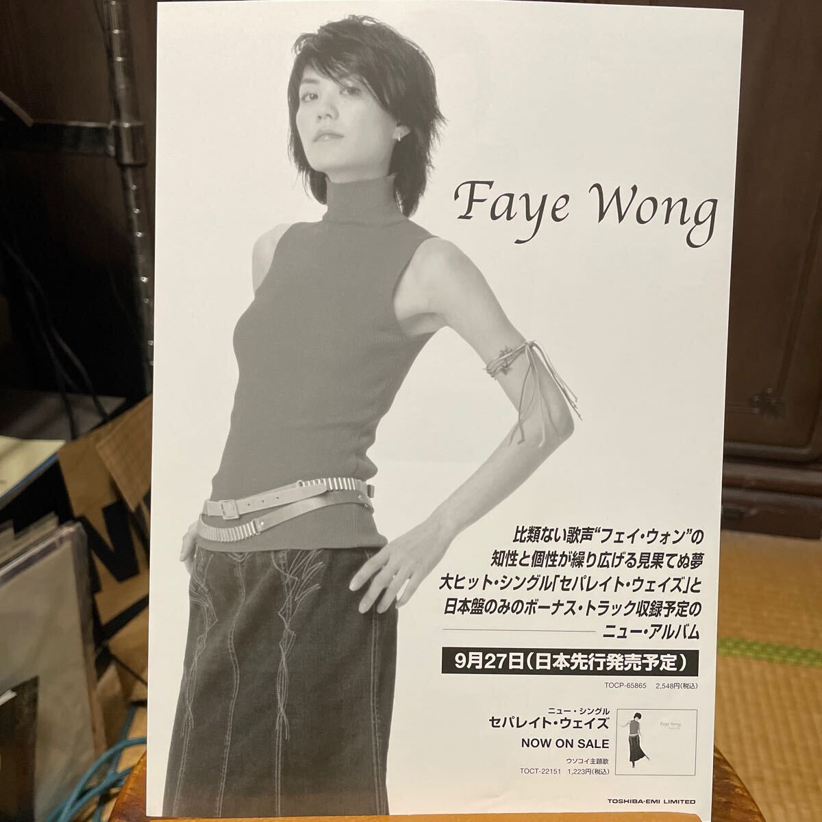フェイ・ウォン　王菲　Faye Wong 2001年 来日公演フライヤー　大阪城ホール　日本武道館_画像2