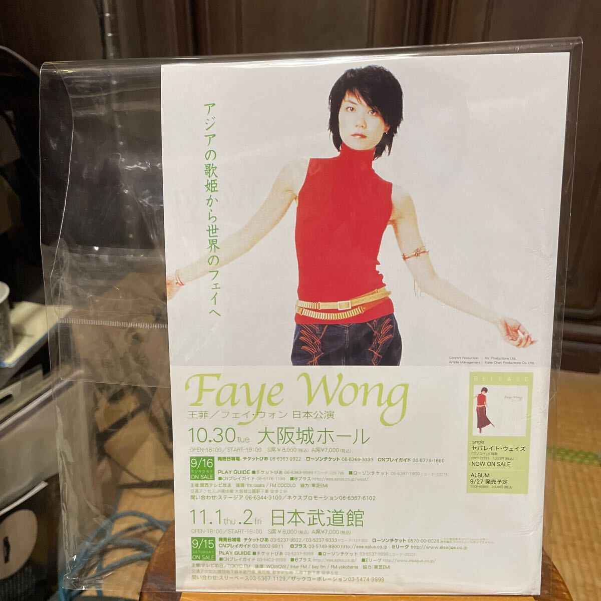 フェイ・ウォン　王菲　Faye Wong 2001年 来日公演フライヤー　大阪城ホール　日本武道館_画像9