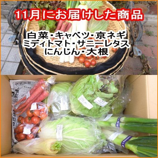  Ehime 100 .. leaving a decision to someone else morning ... vegetable 6-8 goods stone . mountain series agriculture ground. . pesticide vegetable agriculture ground from direct delivery free shipping . peace sea. . wholesale store 