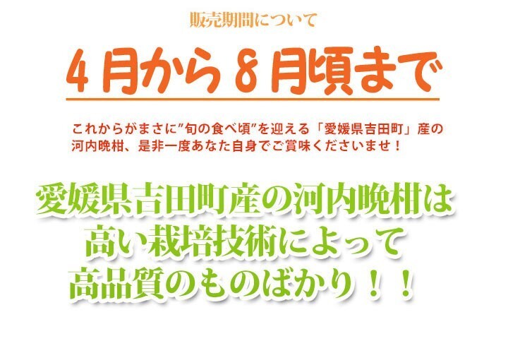 河内晩柑 訳あり 10kg サイズフリー 愛媛 宇和島 吉田産 爽やかジューシーな夏の柑橘 農地直送 送料無料 北海道・沖縄・東北は別途送料_画像8