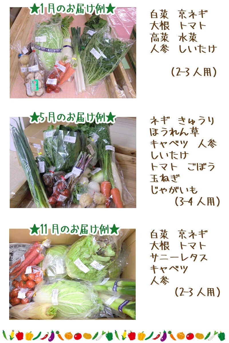 愛媛 百姓にお任せ 朝採れ 旬野菜 8-10品 石鎚山系農地の減農薬野菜 送料無料 宇和海の幸問屋_画像3