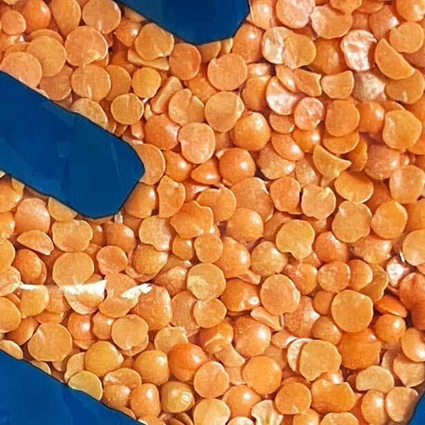 レンズ豆 １kg ヒラマメ/マスールダールの挽き割り レッドレンティル（水で戻す必要なし）インド産 賞味期限2025.7.25_画像2