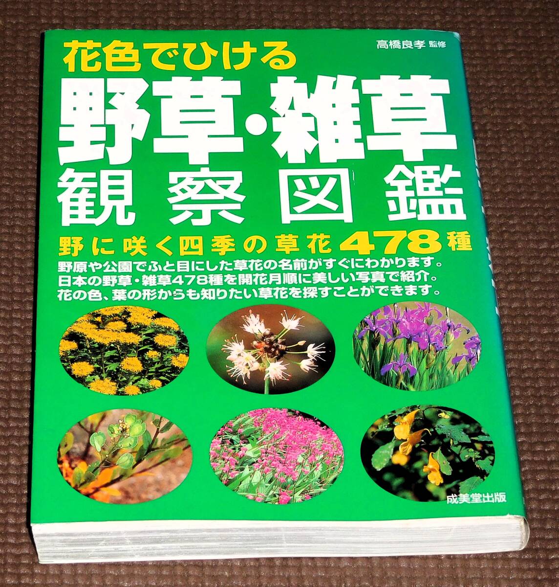  wild grasses *.. field guide .... four season. . flower 478 kind all color 1 jpy ~