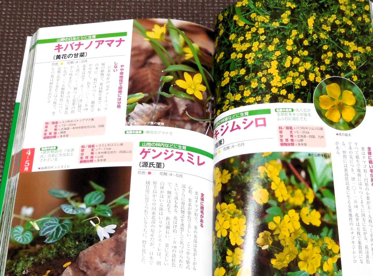  wild grasses *.. field guide .... four season. . flower 478 kind all color 1 jpy ~