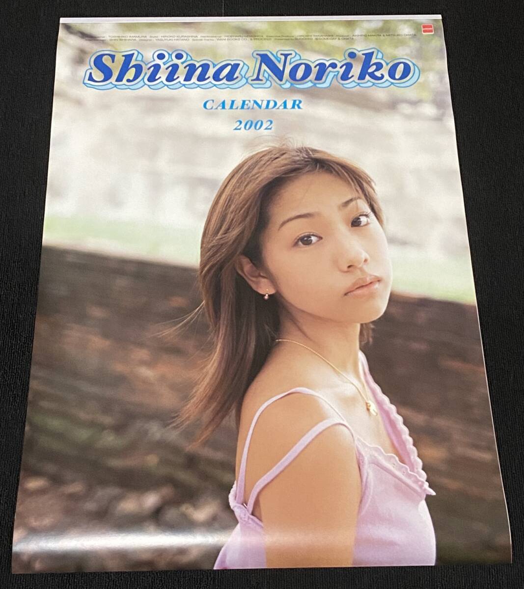 B951/ Shiina Noriko календарь 2002 год / B2 размер 