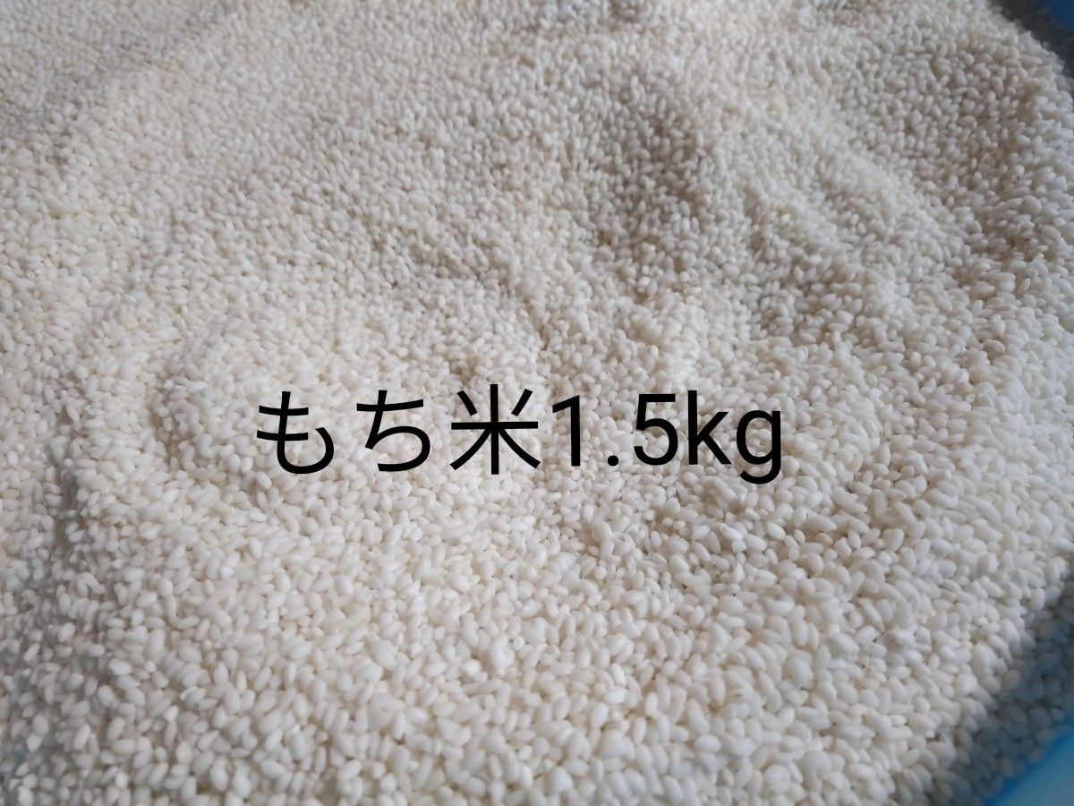 令和5年度産もち米 1.5kg 農薬不使用栽培