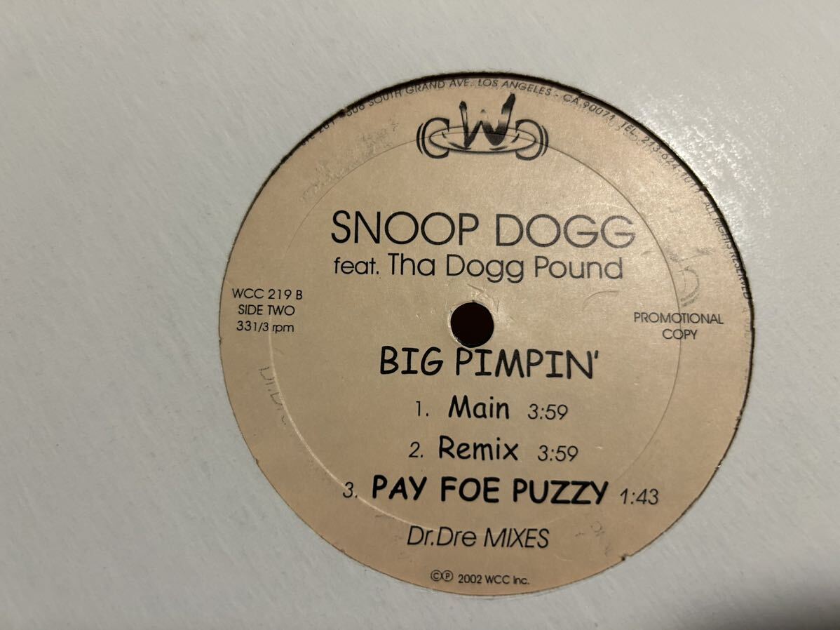 Snoop Dogg Ain't No Fun ★ Big Pimpin ★G'z Up-Hoes Down ホワイト盤_画像2