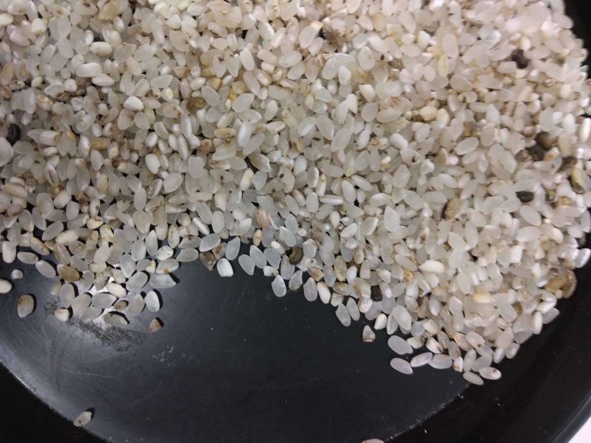 くず米10㎏　鳥の餌　飼料米　 家畜の餌　 　ペットのえさ　玄米_画像1