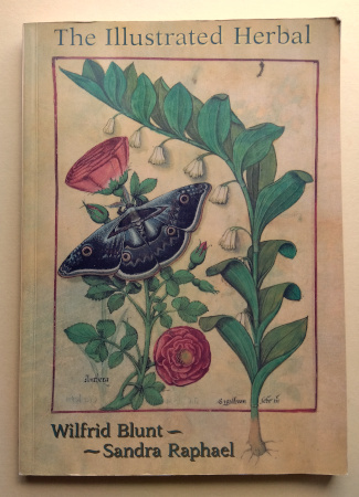 【洋書】The Illustrated Herbal 植物(ハーブ)のイラスト 植物画 ボタニカルアート ヨーロッパ 植物学 英語_画像3