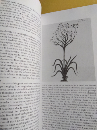 【洋書】The Illustrated Herbal 植物(ハーブ)のイラスト 植物画 ボタニカルアート ヨーロッパ 植物学 英語_画像7