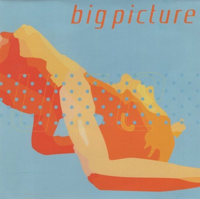 ◆BIG PICTURE ビッグピクチャー / BIG PICTURE / PHEW、長嶌寛幸 他 / 2001.09.27 / 1stアルバム / LMCA-1002_画像1