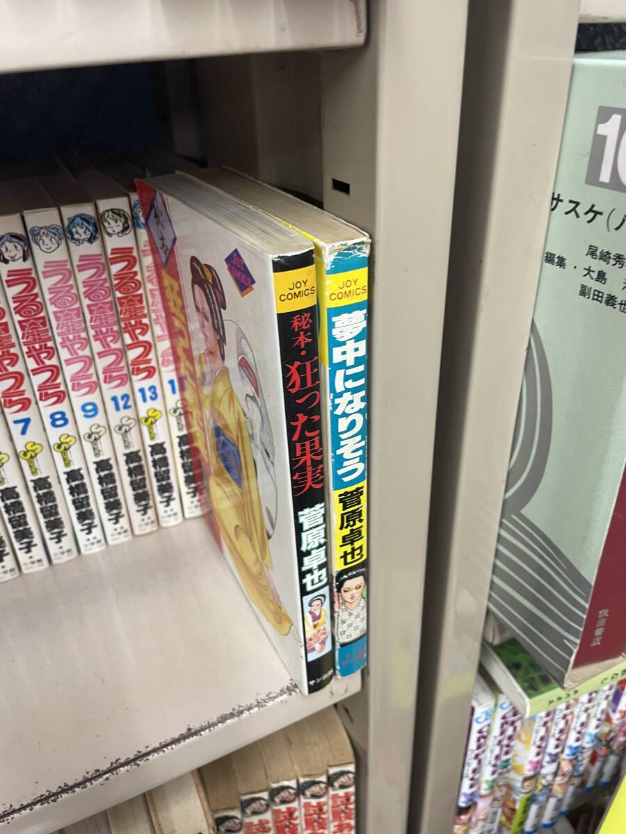 早割 旅行 送料無料!? 初版 秘本 狂った果実 夢中になりそう 菅原卓也 官能劇画 三流劇画 青年