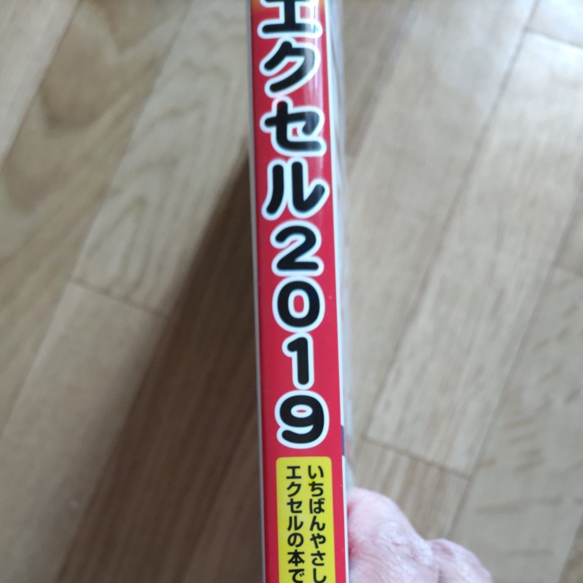 今すぐ使えるかんたんぜったいデキます！エクセル２０１９ 井上香緒里著