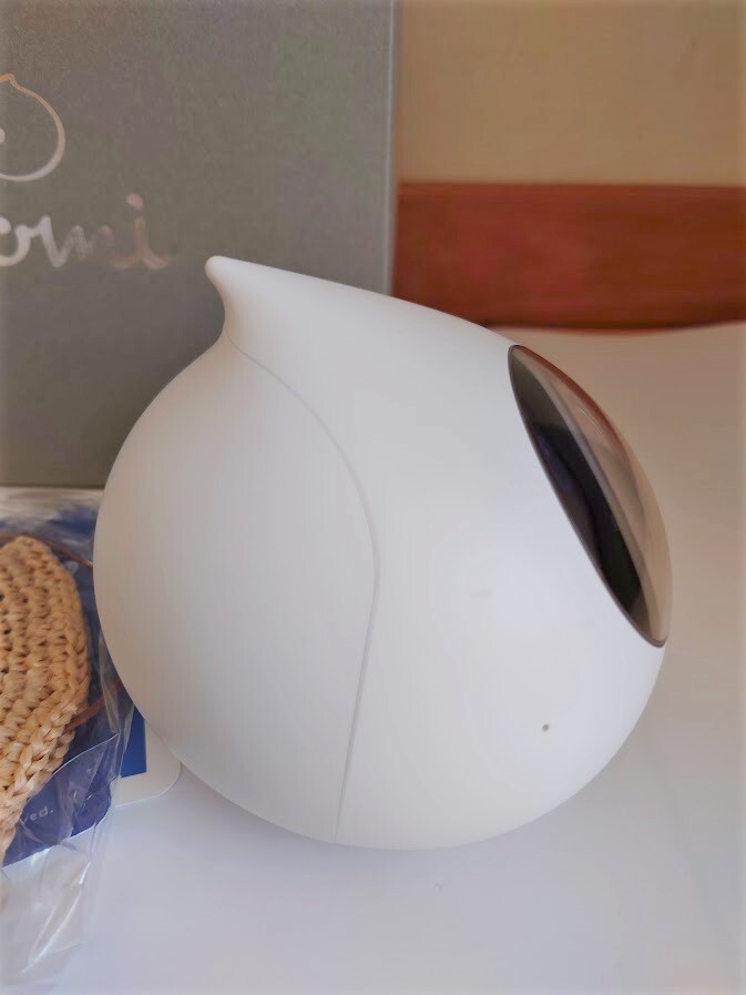 Romi ロミィ ＋ 帽子 2種 ROMI-P02 リセット（初期化）済 ポンポン帽子　麦わら帽子 会話AIロボット _画像6